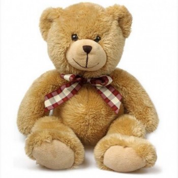 18 inches Teddy Bear