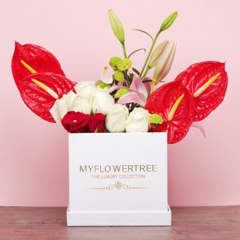 6 White Roses,4 Red Anthurium Plant,4 Red Roses,1 Pink Asiatic Lily,2 Green Daisy Arrangement in White MFT Luxury Box