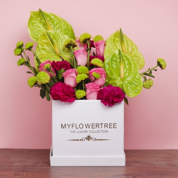 8 Pink Roses,4 Pink Carnations,4 Green Anthurium Flowers,3 Green Diasy arrangement in White MFT Luxury Box