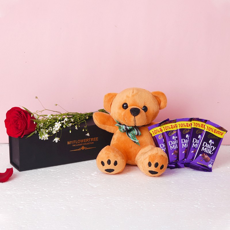 One Red Rose in Black Signature Box with 5 Dairy Milk Chocolate (13.2 gm) and One Brown Teddy Bear
