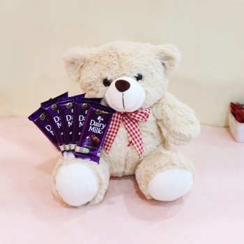Teddy Bear with Chocolate
