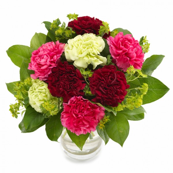 Charming Carnations
