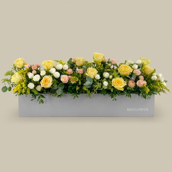 Sunny Rose Flower Box