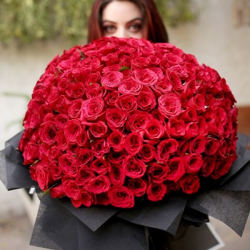 Love of 500 Roses