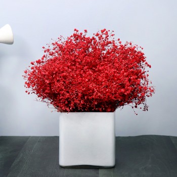 Red Gypso Vase Arrangement