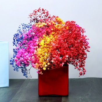 Rainbow Theme Gypso Vase Arrangement