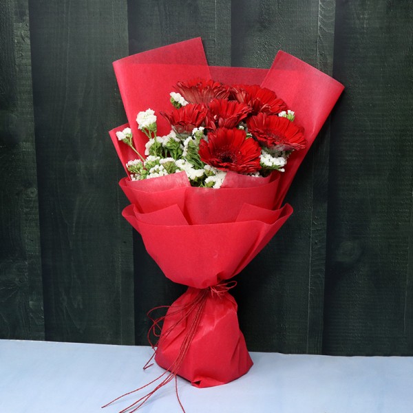 6 Red Gerberas with Paper Packing