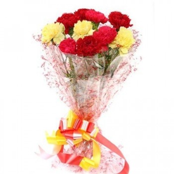 Ten Mix Color Carnation Bouquet