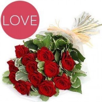 One Dozen Romantic Red Roses Love Bunch