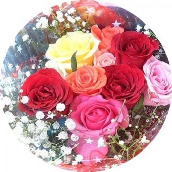 12 Fresh Multi Color Rose Bouquet
