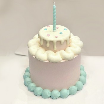 Two Tier Vanilla Celebration Cake