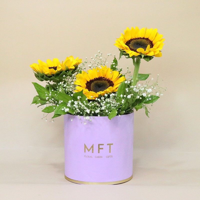 Sunflower N Gypsophila Round Box