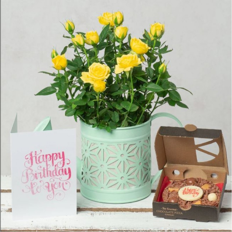 Birthday Rose And Pizza Gift