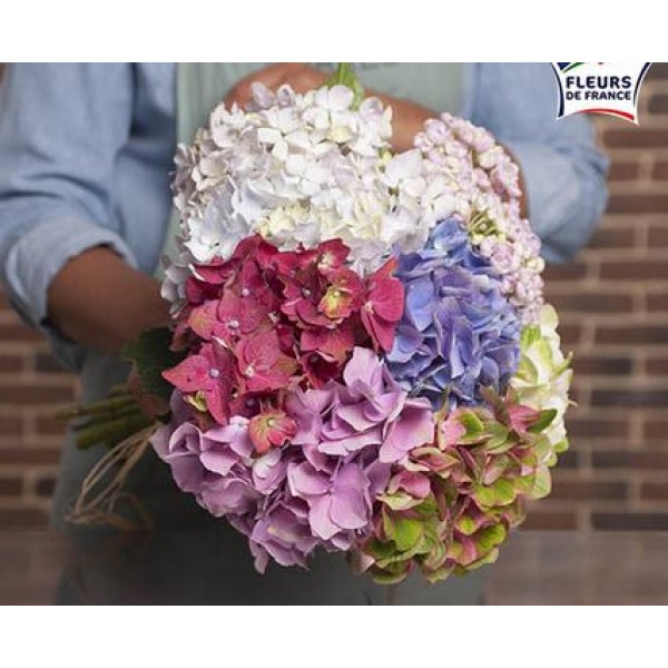 Hydrangea Bouquet