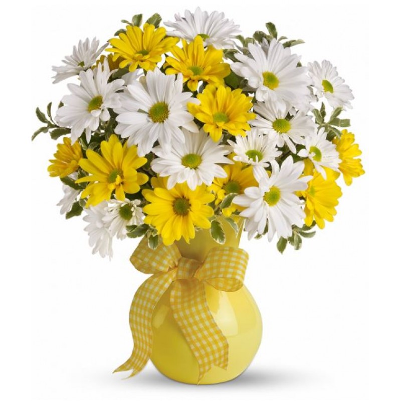 Classic Yellow White Daisies