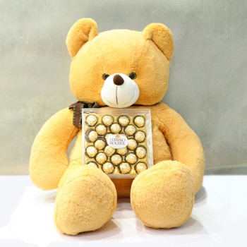 Golden Teddy Treasure Combo