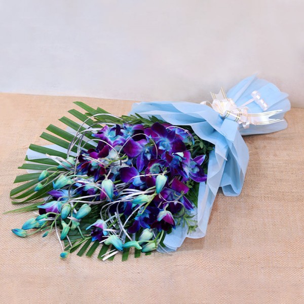 6 Blue Orchids wrapped in Cellophane Packing