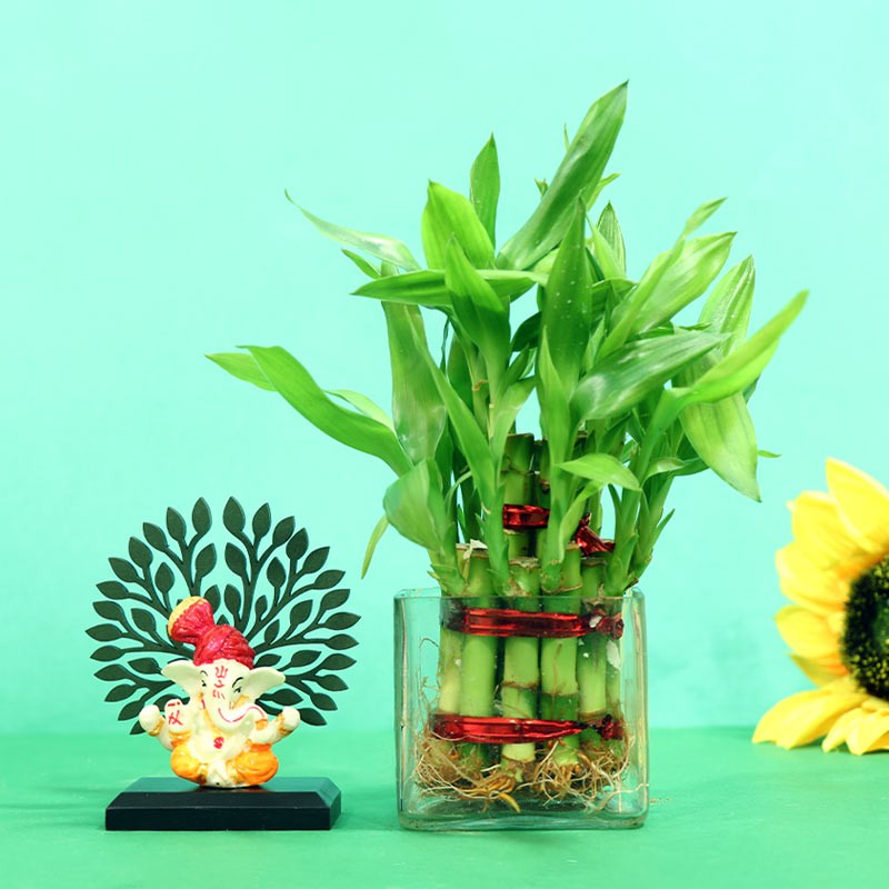 Ganpati with Lucky Bamboo