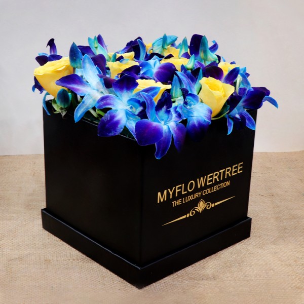 Luxury Orchids