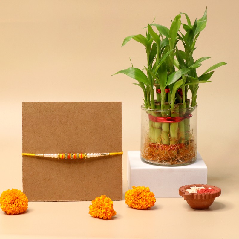 Good Luck Rakhi Hamper