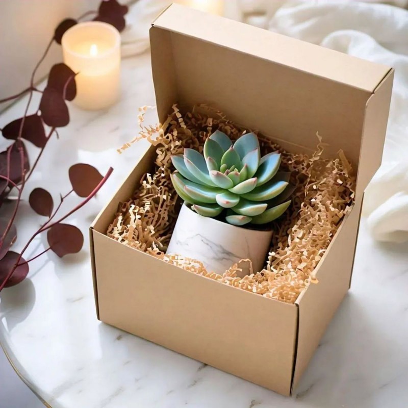 Green Plant Gift Box