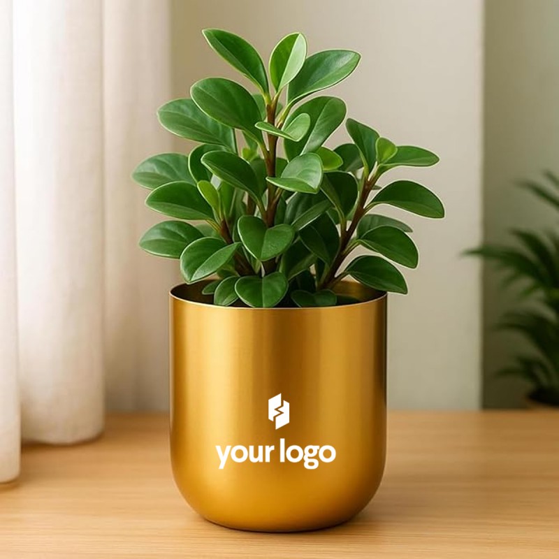 Premium Ecofriendly Metal Planter