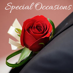 Special Occasions