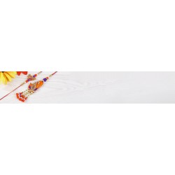 Send Bhaiya Bhabhi Rakhi Combo Online