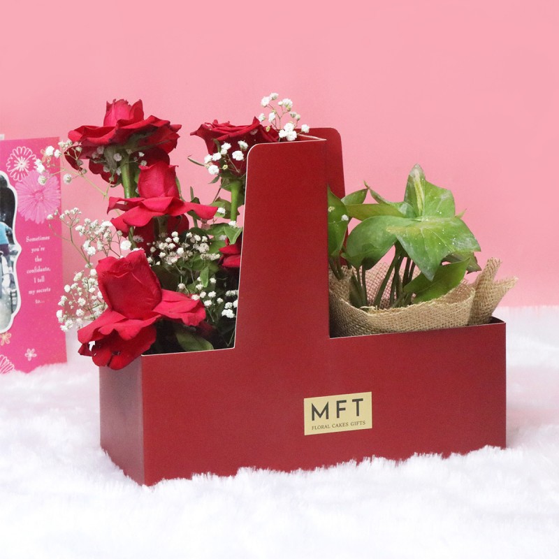 Rose Money Plant Hamper Box Arrangement