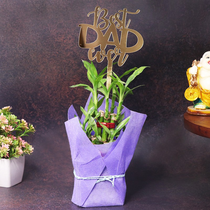 Blessed Bamboo for DAD