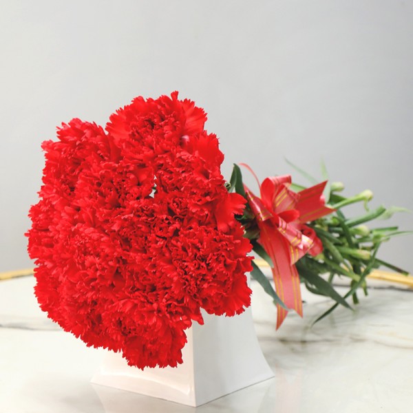 12 Red Carnations with a Red Bow