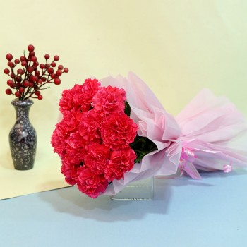 12 Pink Carnations wrapped in cellophane paper