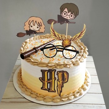 Harry Potter Theme Cake