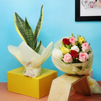 Snake Plant with Roses Bouquet