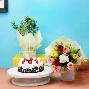 Jade Plant with Cake and Roses