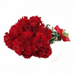 Send Carnations Online