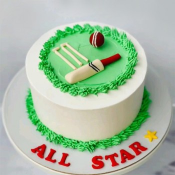 Cricket Fan Theme Cake